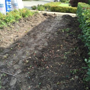 Verpalen Hoveniers - Aanleg tuin zomer